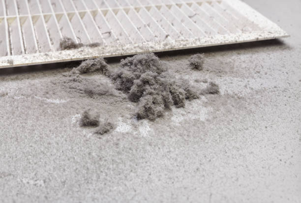 Best Commercial Air Duct Cleaning  in Ivey, GA