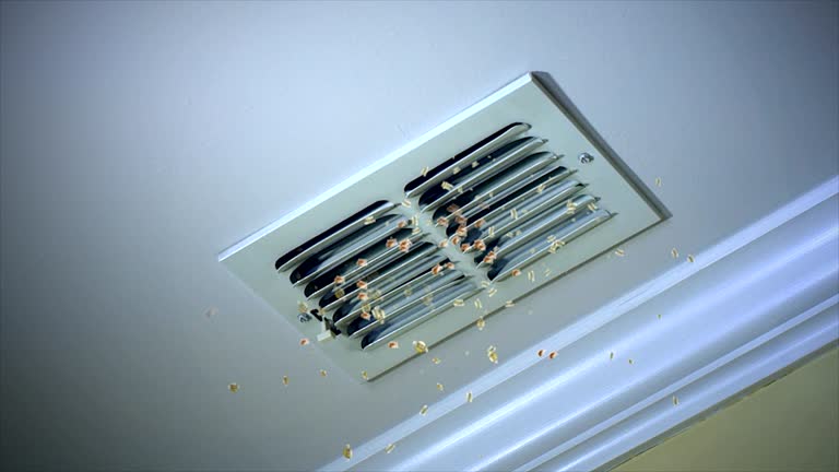 Best Air Duct Inspection  in Ivey, GA